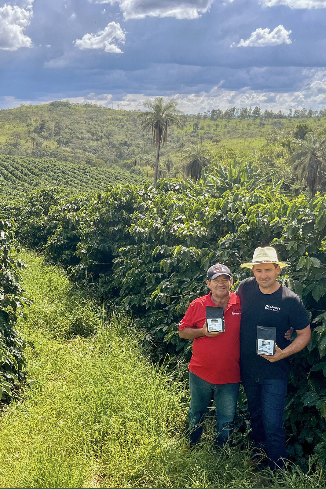 Brazil Cerrado – Uncommon Coffee Roasters Brazil Cerrado – Uncommon Coffee Roasters