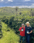 Brazil Cerrado