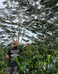 Pink Bourbon (Limited Roast)