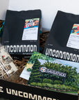 Corporate Holiday Box